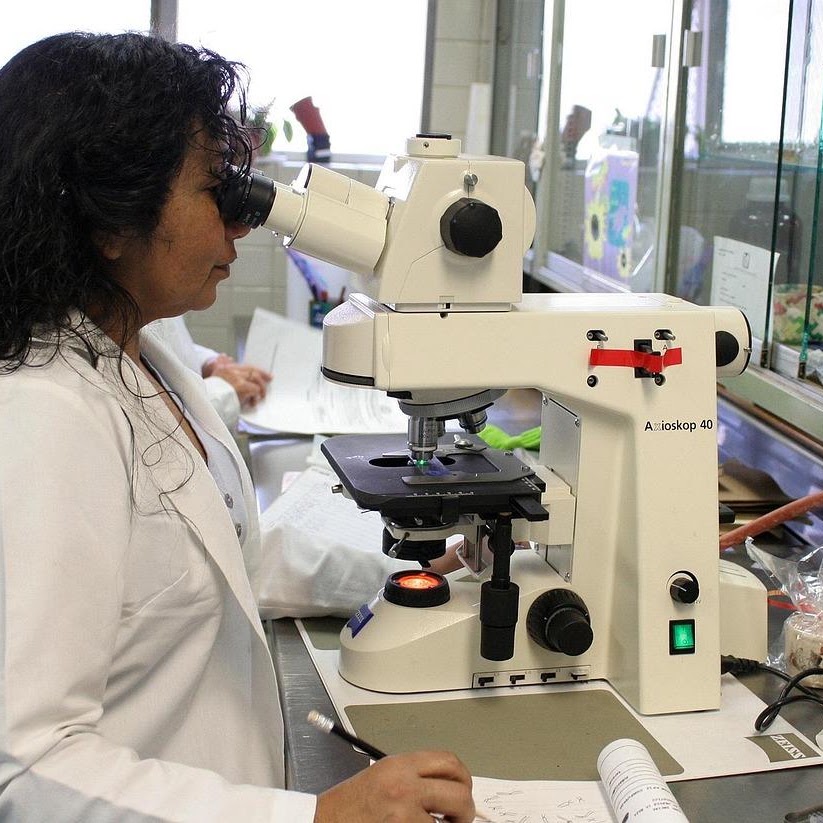 Researcher using a microscope