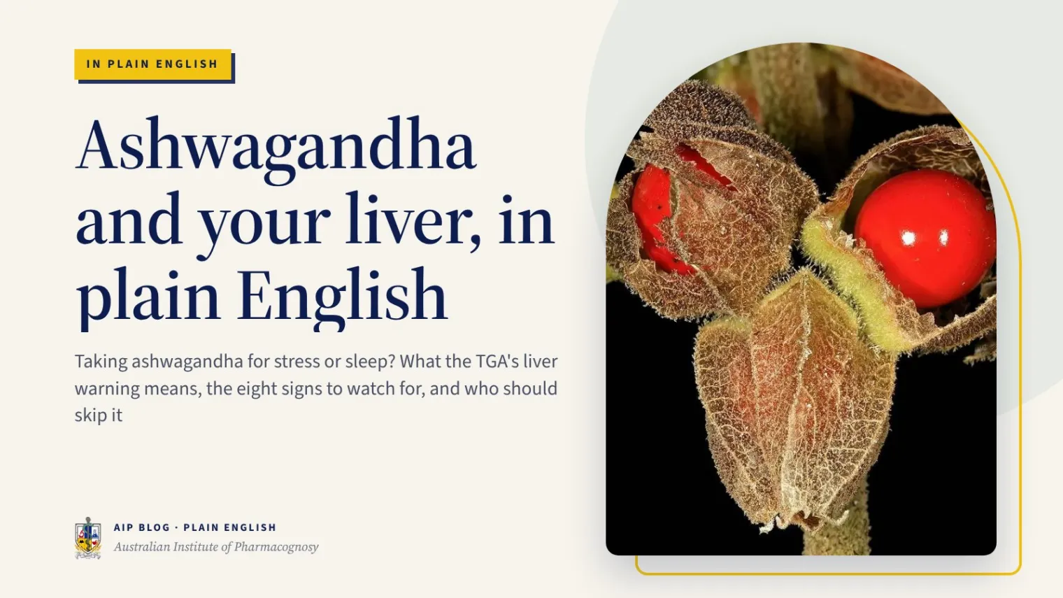 Ashwagandha and your liver, in plain English - Australian Institute of Pharmacognosy