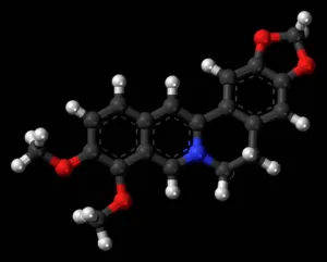 Chapter 7: a ball and stick model of berberine