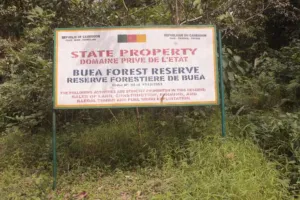 Signpost at the entrance to the Mount Cameroon forest reserve at Buea stating restricted access