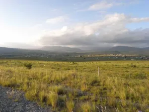 Open grassland landscape on stony ground in the Eastern Cape South Africa