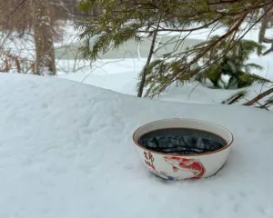 Chapter 7, pharmacology at the bench: a pot of dark Chinese herbal decoction
