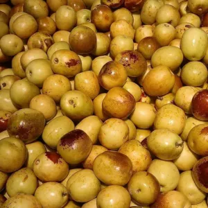 Chapter 12, how to read a label: a fresh Dongzao jujube fruit