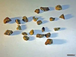 Small cut pieces of dried devil's claw root on a pale surface
