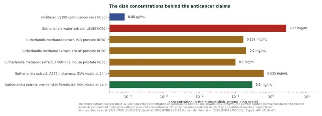Log-scale bar chart comparing concentrations of Sutherlandia extracts and paclitaxel used against cancer cells