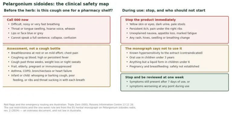 Two-panel safety map for Pelargonium sidoides: red flags needing assessment, and when to stop the product