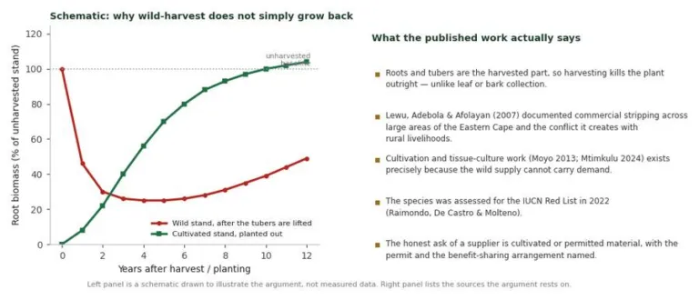 Chart contrasting recovery of a wild-harvested pelargonium stand with a cultivated stand and listing the published sources