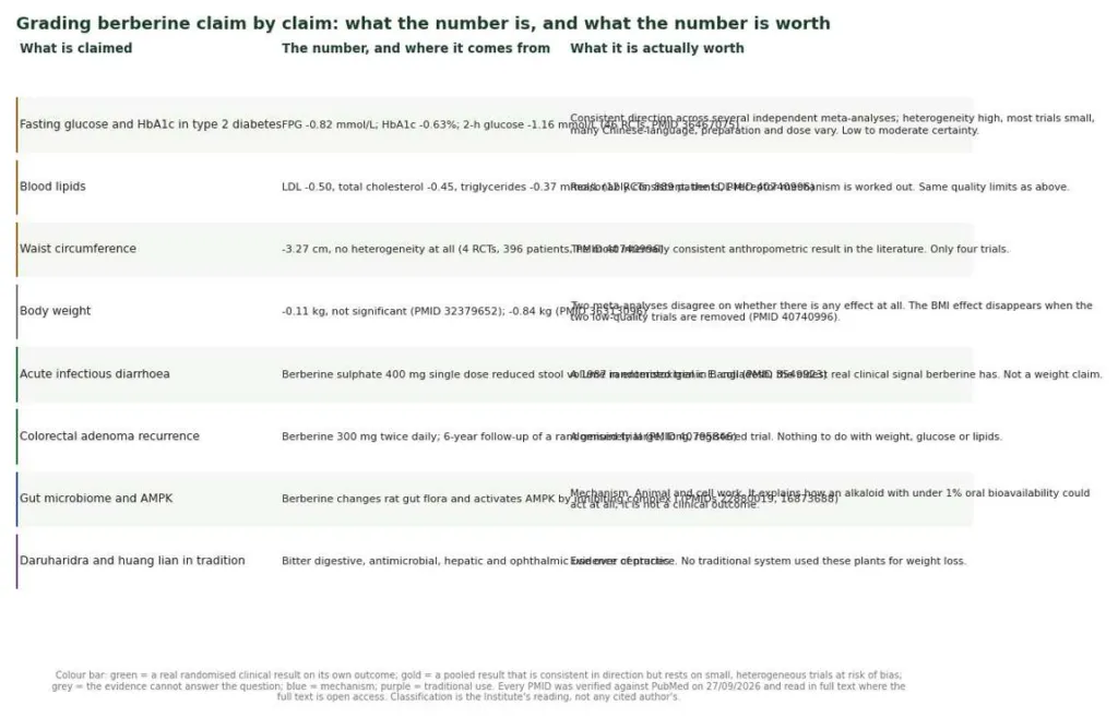 Table grading eight berberine claims by the size of the effect, the source of the number and what the evidence is actually worth