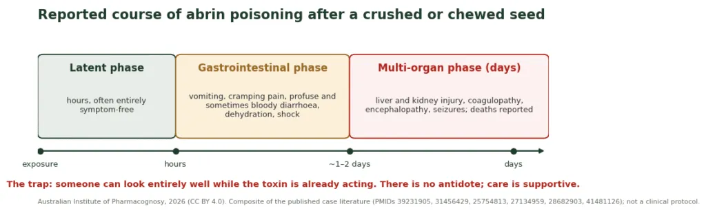 Diagram of the reported phases of abrin poisoning: latent, gastrointestinal, multi-organ