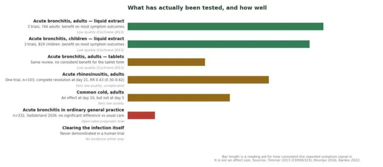 Chart summarising what Pelargonium sidoides has been tested for and the quality of the evidence in each case