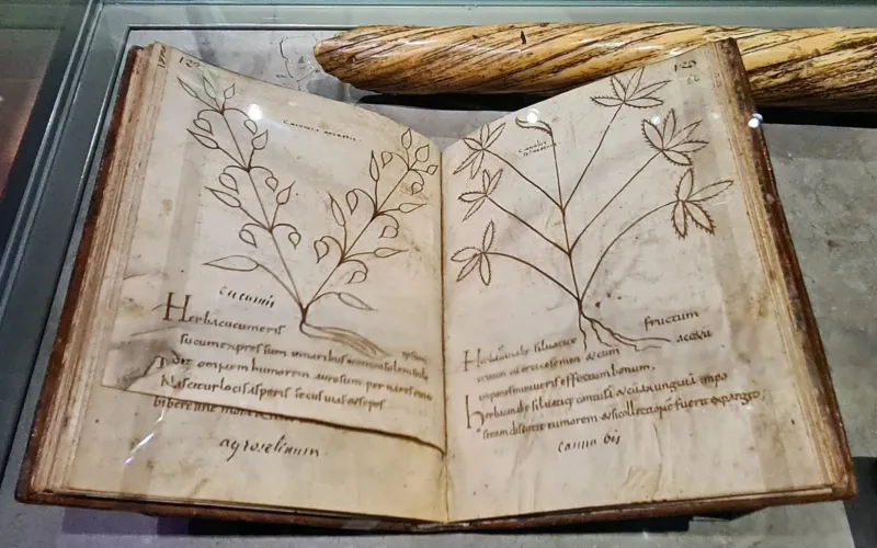 Agrippa’s Herbs: Occult Philosophy and Pharmacology
