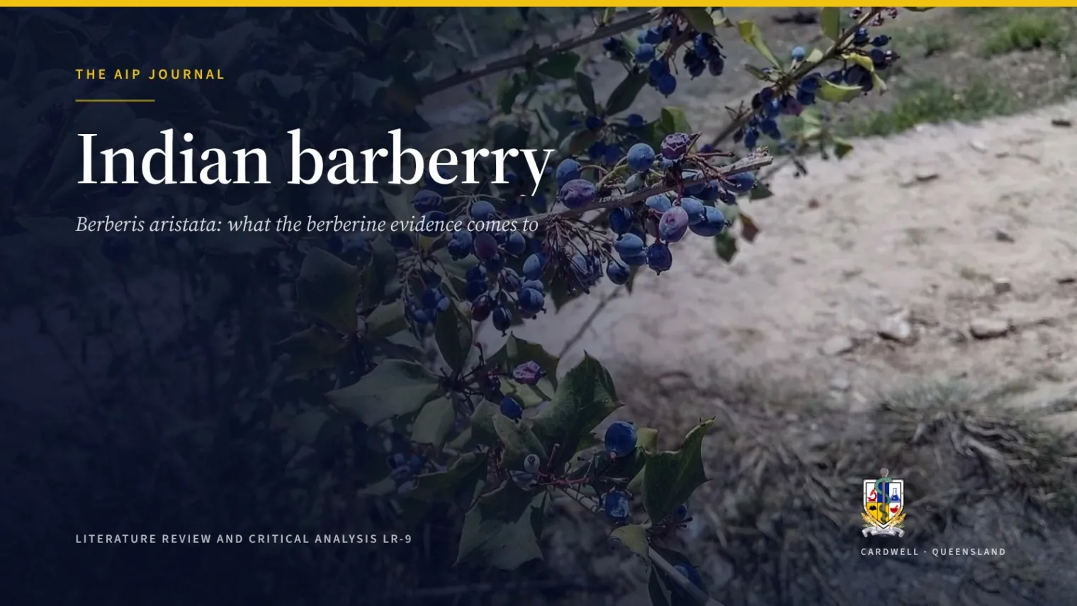 Indian barberry (Berberis aristata): the berberine evidence - Australian Institute of Pharmacognosy