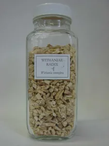 Glass pharmacy jar of cut dried Withania somnifera root labelled Withaniae radix