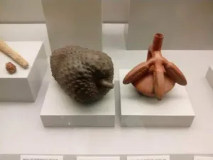 Ancient Moche ceramic vessel shaped as a soursop fruit with maize