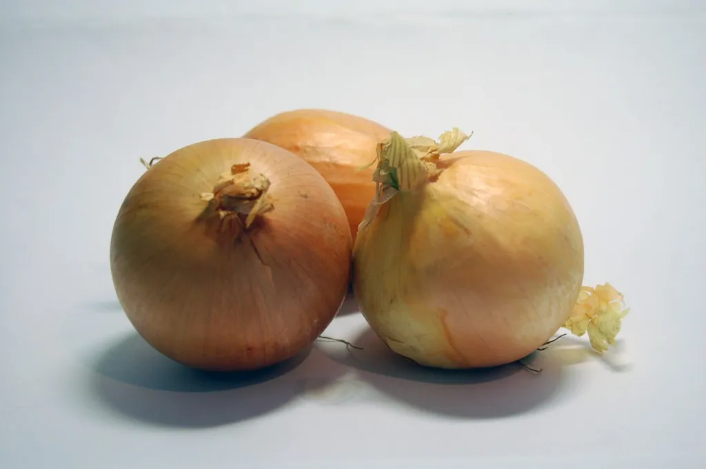 Three brown onions