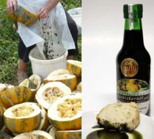 Cucurbita pepo oil pumpkin and hulled seeds