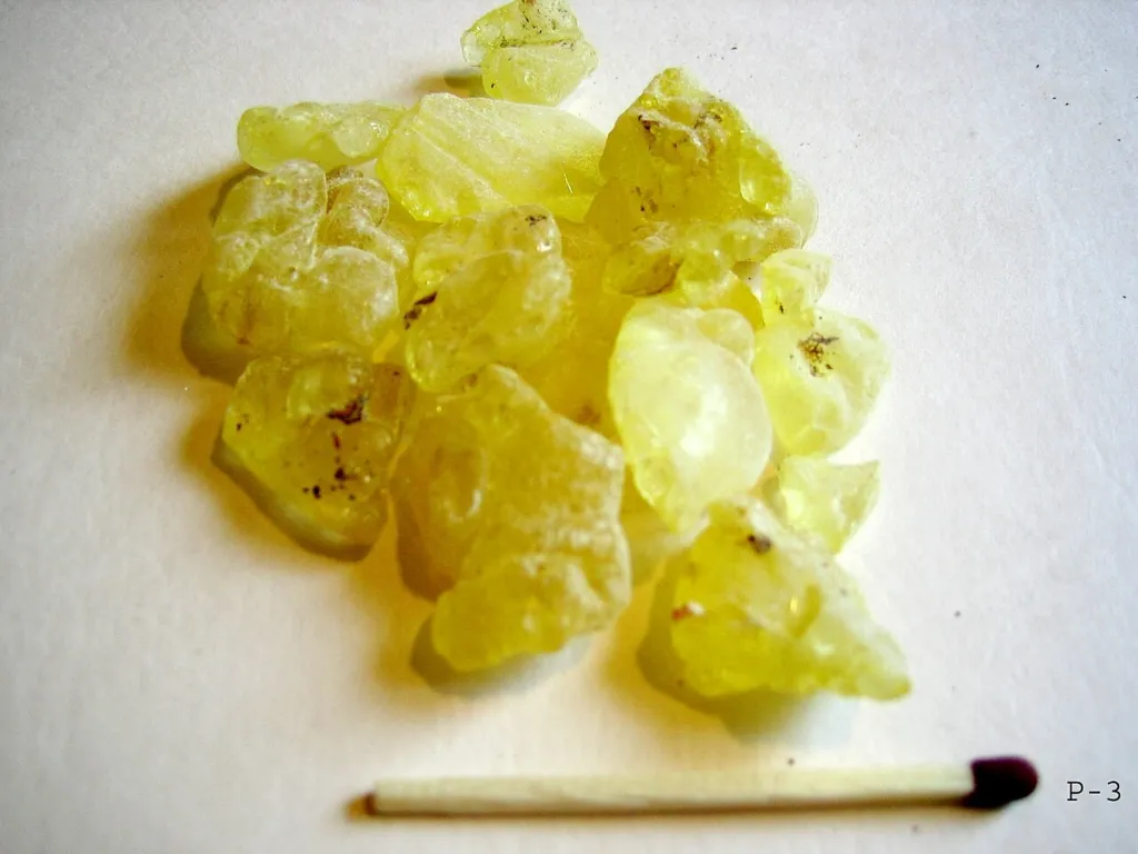 Pale yellow mastic resin tears beside a matchstick