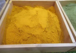 Wooden tray filled with finely ground yellow Curcuma longa powder