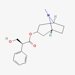 Hyoscyamine structure