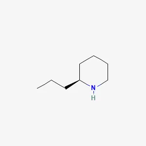 Coniine structure