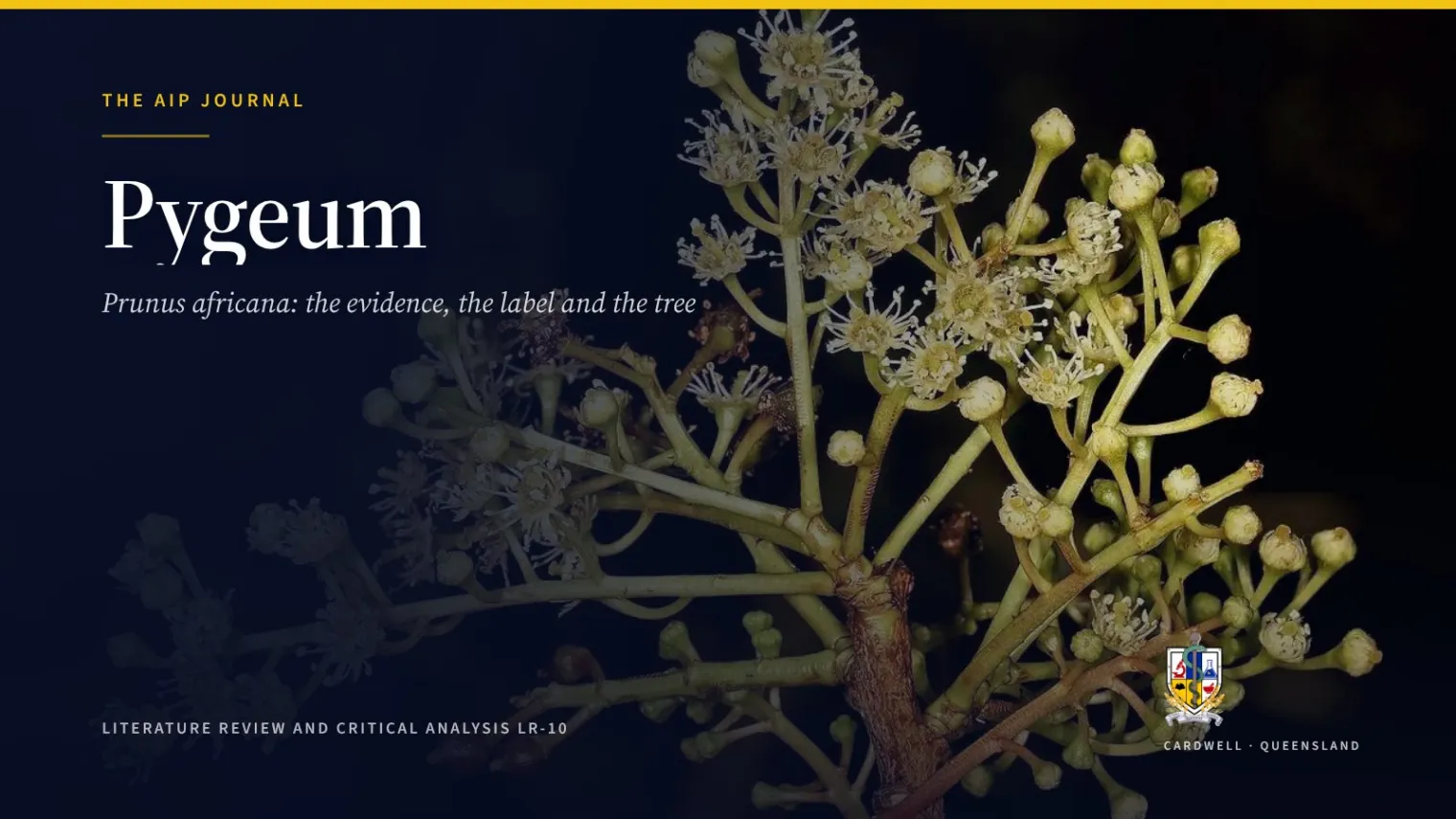 Pygeum (Prunus africana): the prostate evidence - Australian Institute of Pharmacognosy