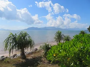Hinchinbrook Channel seen from Cardwell, Queensland, the region where Andrographis paniculata grows naturalised