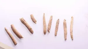 Individual pale dried Withania somnifera roots laid out in a row
