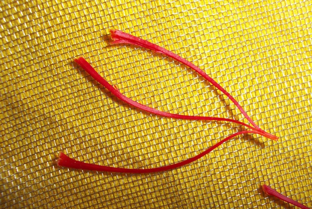 Red saffron threads on a yellow cloth