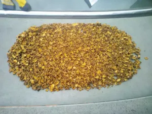Heap of dried orange Curcuma longa rhizome slices on a tray
