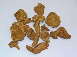 Dried yellowish slices of Harpagophytum procumbens secondary tuber on a pale background