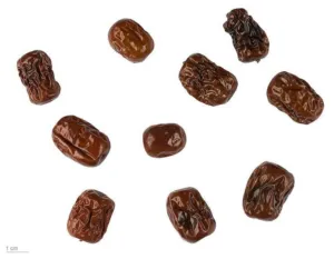 Chapter 5, what the tradition says: dried jujube fruit from a museum reference collection
