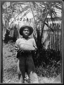 Black and white 1922 expedition photograph of a man holding a soursop fruit specimen