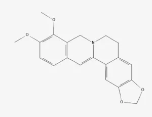 Chemical structure of Dihydroberberine