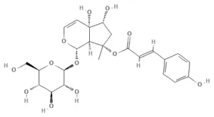 Chemical structure of 8-p-Coumaroylharpagide