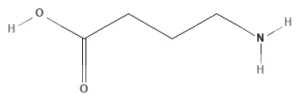 Chemical structure of GABA