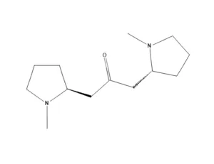 Chemical structure of Cuscohygrine