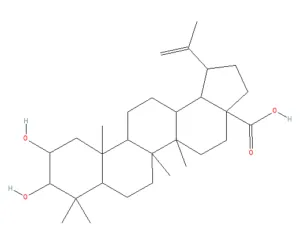 Chemical structure of Alphitolic acid
