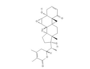 Chemical structure of Withanone