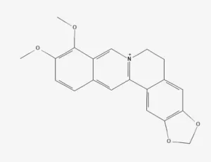 Chemical structure of Berberine