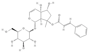 Chemical structure of Harpagoside
