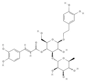 Chemical structure of Acteoside (verbascoside)