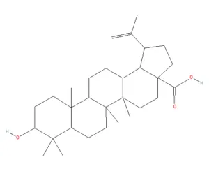 Chemical structure of Betulinic acid