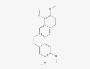 Chemical structure of Jatrorrhizine