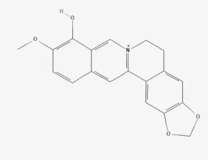 Chemical structure of Berberrubine