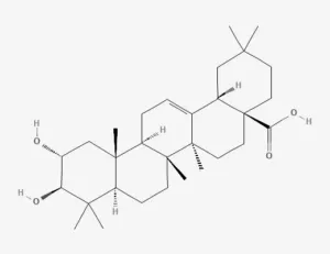 Chemical structure of Maslinic acid