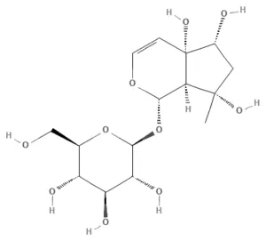 Chemical structure of Harpagide