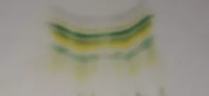 Chapter 13: a thin layer chromatography plate