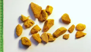 Dried orange slices of Curcuma zanthorrhiza rhizome on a white background