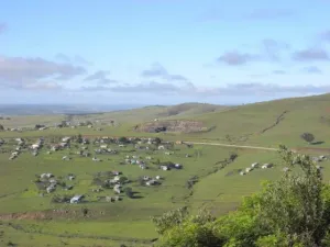 Rural settlement among green hills in the Eastern Cape South Africa, the home range of Pelargonium sidoides
