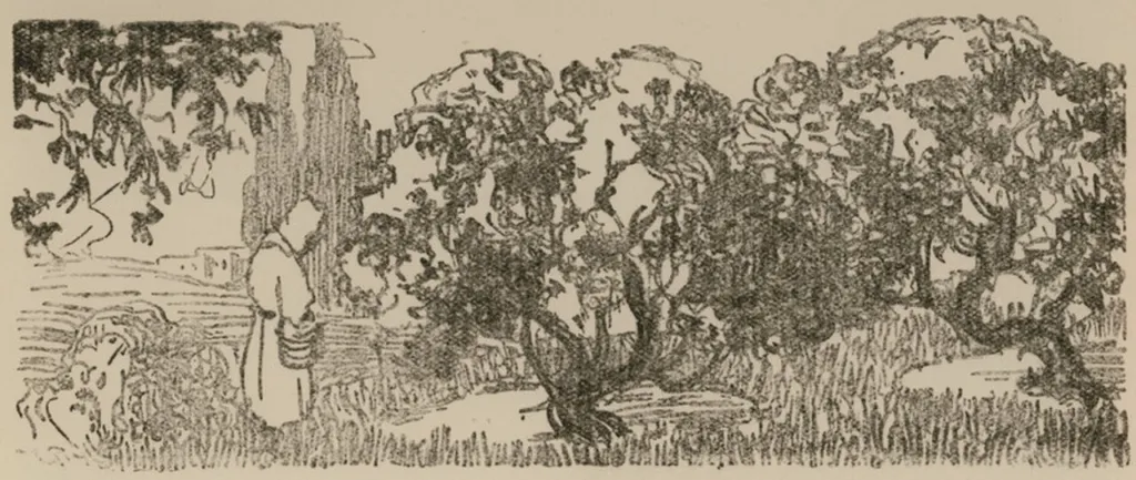 Early twentieth-century ink drawing of mastic trees with a worker beneath them